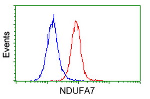 NDUFA7 Antibody - Flow cytometry of HeLa cells, using anti-NDUFA7 antibody (Red), compared to a nonspecific negative control antibody (Blue).