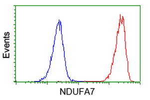 NDUFA7 Antibody - Flow cytometry of Jurkat cells, using anti-NDUFA7 antibody (Red), compared to a nonspecific negative control antibody (Blue).