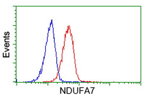 NDUFA7 Antibody - Flow cytometry of HeLa cells, using anti-NDUFA7 antibody (Red), compared to a nonspecific negative control antibody (Blue).