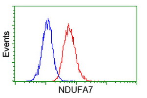 NDUFA7 Antibody - Flow cytometry of Jurkat cells, using anti-NDUFA7 antibody (Red), compared to a nonspecific negative control antibody (Blue).
