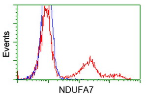 NDUFA7 Antibody - HEK293T cells transfected with either overexpress plasmid (Red) or empty vector control plasmid (Blue) were immunostained by anti-NDUFA7 antibody, and then analyzed by flow cytometry.