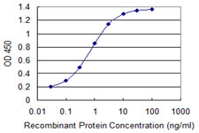 NDUFA8 Antibody - Detection limit for recombinant GST tagged NDUFA8 is 0.03 ng/ml as a capture antibody.