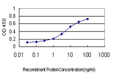 NDUFA9 Antibody - Detection limit for recombinant GST tagged NDUFA9 is approximately 0.1 ng/ml as a capture antibody.