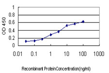 NDUFB3 Antibody - Detection limit for recombinant GST tagged NDUFB3 is approximately 0.1 ng/ml as a capture antibody.
