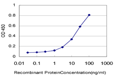 NDUFB7 / B18 Antibody - Detection limit for recombinant GST tagged NDUFB7 is approximately 1 ng/ml as a capture antibody.