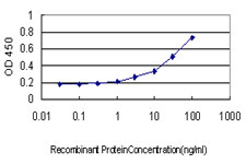 NDUFS4 Antibody - Detection limit for recombinant GST tagged NDUFS4 is approximately 0.3 ng/ml as a capture antibody.