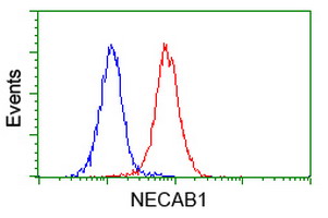 NECAB1 Antibody - Flow cytometry of Jurkat cells, using anti-NECAB1 antibody (Red), compared to a nonspecific negative control antibody (Blue).