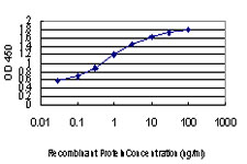 NEDD1 Antibody - Detection limit for recombinant GST tagged NEDD1 is approximately 0.03 ng/ml as a capture antibody.
