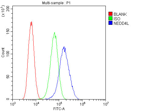 NEDD4L / NEDD4-2 Antibody - Flow Cytometry analysis of U20S cells using anti-NEDD4-2 antibody. Overlay histogram showing U20S cells stained with anti-NEDD4-2 antibody (Blue line). The cells were blocked with 10% normal goat serum. And then incubated with rabbit anti-NEDD4-2 Antibody (1µg/10E6 cells) for 30 min at 20°C. DyLight®488 conjugated goat anti-rabbit IgG (5-10µg/10E6 cells) was used as secondary antibody for 30 minutes at 20°C. Isotype control antibody (Green line) was rabbit IgG (1µg/10E6 cells) used under the same conditions. Unlabelled sample (Red line) was also used as a control.