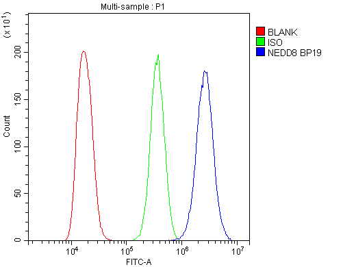 NEDD8 Antibody - Flow Cytometry analysis of A431 cells using anti-NEDD8 antibody. Overlay histogram showing A431 cells stained with anti-NEDD8 antibody (Blue line). The cells were blocked with 10% normal goat serum. And then incubated with rabbit anti-NEDD8 Antibody (1µg/10E6 cells) for 30 min at 20°C. DyLight®488 conjugated goat anti-rabbit IgG (5-10µg/10E6 cells) was used as secondary antibody for 30 minutes at 20°C. Isotype control antibody (Green line) was rabbit IgG (1µg/10E6 cells) used under the same conditions. Unlabelled sample (Red line) was also used as a control.