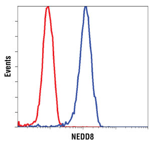 NEDD8 Antibody - Flow cytometry of untreated HeLa cells