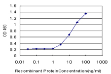 NEFH / NF-H Antibody - Detection limit for recombinant GST tagged NEFH is approximately 0.03 ng/ml as a capture antibody.