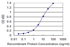 NEK11 Antibody - Detection limit for recombinant GST tagged NEK11 is 0.1 ng/ml as a capture antibody.