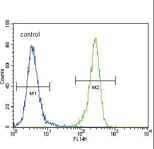 NEP / DDR1 Antibody - DDR1 Antibody flow cytometry of 293 cells (right histogram) compared to a negative control cell (left histogram). FITC-conjugated goat-anti-rabbit secondary antibodies were used for the analysis.