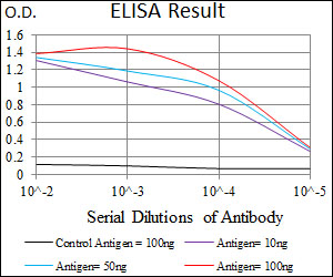 NES / Nestin Antibody - Red: Control Antigen (100ng); Purple: Antigen (10ng); Green: Antigen (50ng); Blue: Antigen (100ng);