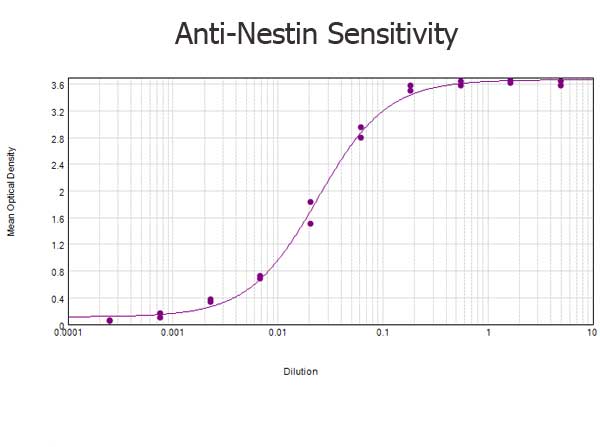 NES / Nestin Antibody - ELISA results of purified Rabbit anti-Nestin Antibody tested against BSA-conjugated peptide of immunizing peptide. Each well was coated in duplicate with 0.1µg of conjugate. The starting dilution of antibody was 5µg/ml and the X-axis represents the Log10 of a 3-fold dilution. This titration is a 4-parameter curve fit where the IC50 is defined as the titer of the antibody. Assay performed using 3% fish gel, Goat anti-Rabbit IgG Antibody Peroxidase Conjugated (Min X Bv Ch Gt GP Ham Hs Hu Ms Rt & Sh Serum Proteins)