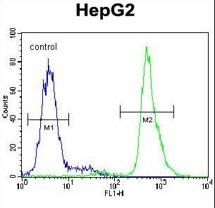 Neuroserpin Antibody - SERPINI1 Antibody flow cytometry of HepG2 cells (right histogram) compared to a negative control cell (left histogram). FITC-conjugated goat-anti-rabbit secondary antibodies were used for the analysis.