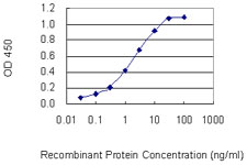 Neurotrypsin Antibody - Detection limit for recombinant GST tagged PRSS12 is 0.03 ng/ml as a capture antibody.