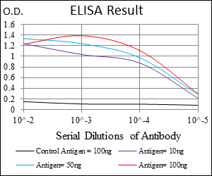 NF-L / NEFL Antibody - Red: Control Antigen (100ng); Purple: Antigen (10ng); Green: Antigen (50ng); Blue: Antigen (100ng);