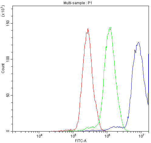 NFAT4 / NFATC3 Antibody - Flow Cytometry analysis of A431 cells using anti-NFAT4 antibody. Overlay histogram showing A431 cells stained with anti-NFAT4 antibody (Blue line). The cells were blocked with 10% normal goat serum. And then incubated with rabbit anti-NFAT4 Antibody (1µg/10E6 cells) for 30 min at 20°C. DyLight®488 conjugated goat anti-rabbit IgG (5-10µg/10E6 cells) was used as secondary antibody for 30 minutes at 20°C. Isotype control antibody (Green line) was rabbit IgG (1µg/10E6 cells) used under the same conditions. Unlabelled sample (Red line) was also used as a control.