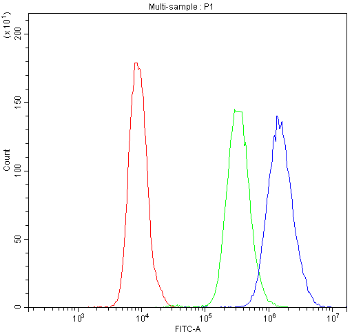 NFAT4 / NFATC3 Antibody - Flow Cytometry analysis of U20S cells using anti-NFAT4 antibody. Overlay histogram showing U20S cells stained with anti-NFAT4 antibody (Blue line). The cells were blocked with 10% normal goat serum. And then incubated with rabbit anti-NFAT4 Antibody (1µg/10E6 cells) for 30 min at 20°C. DyLight®488 conjugated goat anti-rabbit IgG (5-10µg/10E6 cells) was used as secondary antibody for 30 minutes at 20°C. Isotype control antibody (Green line) was rabbit IgG (1µg/10E6 cells) used under the same conditions. Unlabelled sample (Red line) was also used as a control.