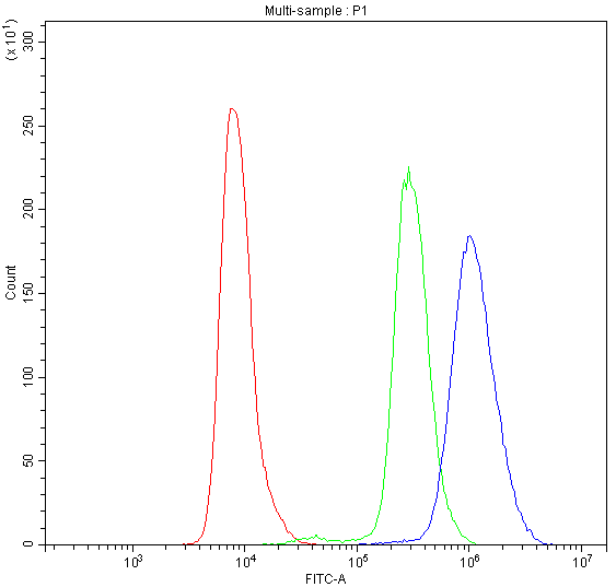 NFAT4 / NFATC3 Antibody - Flow Cytometry analysis of K562 cells using anti-NFAT4 antibody. Overlay histogram showing K562 cells stained with anti-NFAT4 antibody (Blue line). The cells were blocked with 10% normal goat serum. And then incubated with rabbit anti-NFAT4 Antibody (1µg/10E6 cells) for 30 min at 20°C. DyLight®488 conjugated goat anti-rabbit IgG (5-10µg/10E6 cells) was used as secondary antibody for 30 minutes at 20°C. Isotype control antibody (Green line) was rabbit IgG (1µg/10E6 cells) used under the same conditions. Unlabelled sample (Red line) was also used as a control.