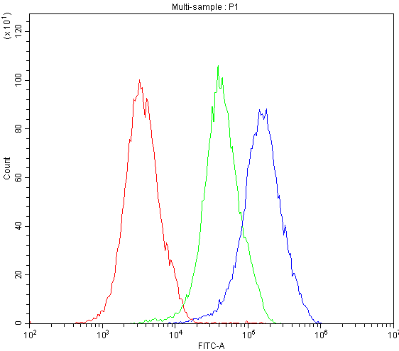 NFATC1 / NFAT2 Antibody - Flow Cytometry analysis of Hela cells using anti-NFATC1 antibody. Overlay histogram showing Hela cells stained with anti-NFATC1 antibody (Blue line). The cells were blocked with 10% normal goat serum. And then incubated with rabbit anti-NFATC1 Antibody (1µg/1x106 cells) for 30 min at 20°C. DyLight®488 conjugated goat anti-rabbit IgG (5-10µg/1x106 cells) was used as secondary antibody for 30 minutes at 20°C. Isotype control antibody (Green line) was rabbit IgG (1µg/1x106) used under the same conditions. Unlabelled sample (Red line) was also used as a control.