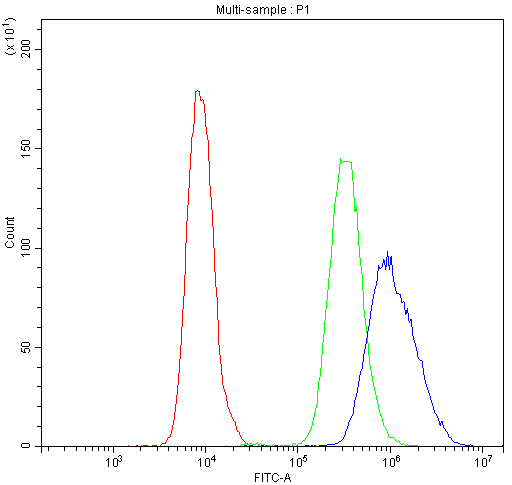 NFATC4 / NFAT3 Antibody - Flow Cytometry analysis of U20S cells using anti-NFATC4 antibody. Overlay histogram showing U20S cells stained with anti-NFATC4 antibody (Blue line). The cells were blocked with 10% normal goat serum. And then incubated with rabbit anti-NFATC4 Antibody (1µg/10E6 cells) for 30 min at 20°C. DyLight®488 conjugated goat anti-rabbit IgG (5-10µg/10E6 cells) was used as secondary antibody for 30 minutes at 20°C. Isotype control antibody (Green line) was rabbit IgG (1µg/10E6 cells) used under the same conditions. Unlabelled sample (Red line) was also used as a control.