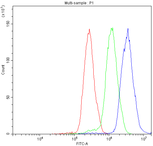 NFATC4 / NFAT3 Antibody - Flow Cytometry analysis of A431 cells using anti-NFATC4 antibody. Overlay histogram showing A431 cells stained with anti-NFATC4 antibody (Blue line). The cells were blocked with 10% normal goat serum. And then incubated with rabbit anti-NFATC4 Antibody (1µg/10E6 cells) for 30 min at 20°C. DyLight®488 conjugated goat anti-rabbit IgG (5-10µg/10E6 cells) was used as secondary antibody for 30 minutes at 20°C. Isotype control antibody (Green line) was rabbit IgG (1µg/10E6 cells) used under the same conditions. Unlabelled sample (Red line) was also used as a control.