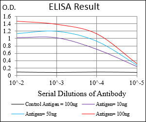 NFE2L2 / NRF2 Antibody - Red: Control Antigen (100ng); Purple: Antigen (10ng); Green: Antigen (50ng); Blue: Antigen (100ng);