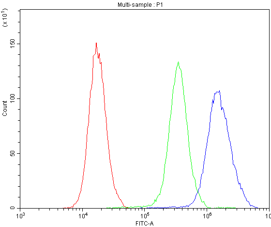 NFIA / Nuclear Factor 1 Antibody - Flow Cytometry analysis of SiHa cells using anti-NFIA antibody. Overlay histogram showing SiHa cells stained with anti-NFIA antibody (Blue line). The cells were blocked with 10% normal goat serum. And then incubated with rabbit anti-NFIA Antibody (1µg/10E6 cells) for 30 min at 20°C. DyLight®488 conjugated goat anti-rabbit IgG (5-10µg/10E6 cells) was used as secondary antibody for 30 minutes at 20°C. Isotype control antibody (Green line) was rabbit IgG (1µg/10E6 cells) used under the same conditions. Unlabelled sample (Red line) was also used as a control. Flow Cytometry analysis of U20S cells using anti-NFIA antibody. Overlay histogram showing U20S cells stained with anti-NFIA antibody (Blue line). The cells were blocked with 10% normal goat serum. And then incubated with rabbit anti-NFIA Antibody (1µg/10E6 cells) for 30 min at 20°C. DyLight®488 conjugated goat anti-rabbit IgG (5-10µg/10E6 cells) was used as secondary antibody for 30 minutes at 20°C. Isotype control antibody (Green line) was rabbit IgG (1µg/10E6 cells) used under the same conditions. Unlabelled sample (Red line) was also used as a control.