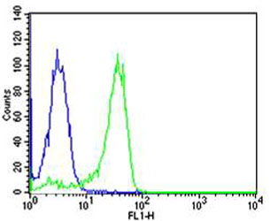 NFKB1 / NF-Kappa-B Antibody - Flow cytometric of HeLa cells with NFKB1 (green) compared to an isotype control of mouse IgG1 (blue). Antibody was diluted at 1:25 dilution. An Alexa Fluor 488 goat anti-mouse lgG at 1:400 dilution was used as the secondary antibody.