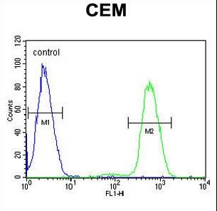 NFKBIL1 Antibody - NFKBIL1 Antibody flow cytometry of CEM cells (right histogram) compared to a negative control cell (left histogram). FITC-conjugated goat-anti-rabbit secondary antibodies were used for the analysis.