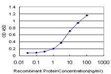 NGB / Neuroglobin Antibody - Detection limit for recombinant GST tagged NGB is approximately 0.1 ng/ml as a capture antibody.