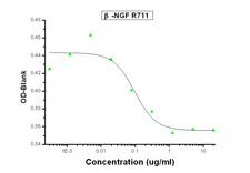 NGF Antibody - Cell Proliferation Induced by beta-NGF was Neutralized by Human beta-NGF Antibody. Recombinant Human beta-NGF (Catalog 11050-HNAC) stimulates proliferation in the TF-1 human erythroleukemic cell line. Proliferation elicited by Recombinant Human beta-NGF (10 ng/mL) is neutralized by increasing concentrations of Rabbit Anti-Human beta-NGF Monoclonal Antibody (Catalog 11050-R711). The IC50 is typically 0.048-0.19 ug/mL.