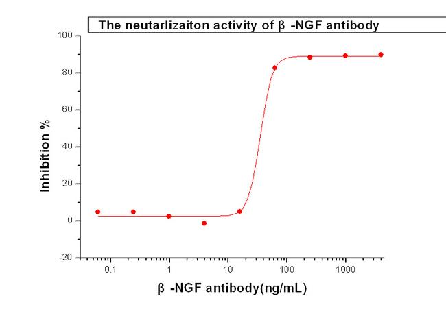 NGF Antibody - Cell Proliferation Induced by beta-NGF was Neutralized by Human beta-NGF Antibody. Recombinant Human beta-NGF (Catalog #11050-HNAC) stimulates proliferation of TF-1 human erythroleukemic cells. Proliferation elicited by 5 ng/mL of Recombinant Human beta-NGF is neutralized by increasing concentrations of Rabbit Anti-Human beta-NGF neutralizing Monoclonal Antibody (Catalog # 11050-RC6). The IC50 is typically 17-70 ng/mL.
