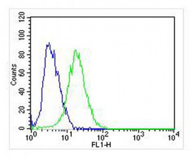 NGFR / CD271 / TNR16 Antibody - Overlay histogram showing SH-SY5Y cells stained with antibody (green line). The cells were fixed with 2% paraformaldehyde (10 min). The cells were then incubated in 2% bovine serum albumin to block non-specific protein-protein interactions followed by the antibody (antibody, 1:25 dilution) for 60 min at 37°C. The secondary antibody used was Goat-Anti-Rabbit IgG, DyLight 488 Conjugated Highly Cross-Adsorbed at 1:400 dilution for 40 min at 37 ° C. Isotype control antibody (blue line) was rabbit IgG (1ug/1x10^6 cells) used under the same conditions. Acquisition of >10, 000 events was performed.