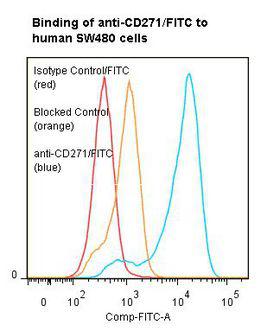 NGFR / CD271 / TNR16 Antibody - Flow cytometry of NGFR / CD271 antibody This image was taken for the unconjugated form of this product. Other forms have not been tested.