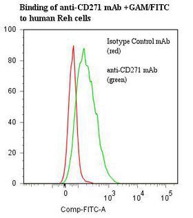 NGFR / CD271 / TNR16 Antibody - Flow cytometry of NGFR / CD271 antibody