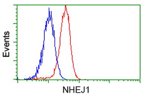 NHEJ1 / XLF Antibody - Flow cytometry of HeLa cells, using anti-NHEJ1 antibody, (Red), compared to a nonspecific negative control antibody, (Blue).