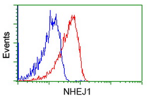 NHEJ1 / XLF Antibody - Flow cytometry of Jurkat cells, using anti-NHEJ1 antibody, (Red), compared to a nonspecific negative control antibody, (Blue).