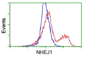 NHEJ1 / XLF Antibody - HEK293T cells transfected with either overexpress plasmid (Red) or empty vector control plasmid (Blue) were immunostained by anti-NHEJ1 antibody, and then analyzed by flow cytometry.