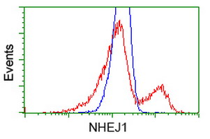 NHEJ1 / XLF Antibody - HEK293T cells transfected with either overexpress plasmid (Red) or empty vector control plasmid (Blue) were immunostained by anti-NHEJ1 antibody, and then analyzed by flow cytometry.