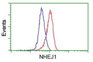 NHEJ1 / XLF Antibody - Flow cytometry of HeLa cells, using anti-NHEJ1 antibody (Red), compared to a nonspecific negative control antibody (Blue).