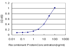 NHLH2 / HEN2 Antibody - Detection limit for recombinant GST tagged NHLH2 is approximately 0.3 ng/ml as a capture antibody.