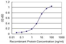 NIP45 / NFATC2IP Antibody - Detection limit for recombinant GST tagged NFATC2IP is 0.1 ng/ml as a capture antibody.