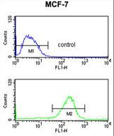 NIP7 Antibody - NIP7 Antibody flow cytometry of MCF-7 cells (bottom histogram) compared to a negative control cell (top histogram). FITC-conjugated goat-anti-rabbit secondary antibodies were used for the analysis.