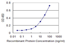 NISCH Antibody - Detection limit for recombinant GST tagged NISCH is 0.3 ng/ml as a capture antibody.