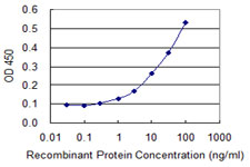 NIX / BNIP3L Antibody - Detection limit for recombinant GST tagged BNIP3L is 0.3 ng/ml as a capture antibody.