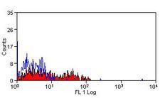 NK1 / CD160 Antibody - Flow cytometry of human peripheral blood lymphocytes with Mouse anti-Human CD160.  This image was taken for the unmodified form of this product. Other forms have not been tested.
